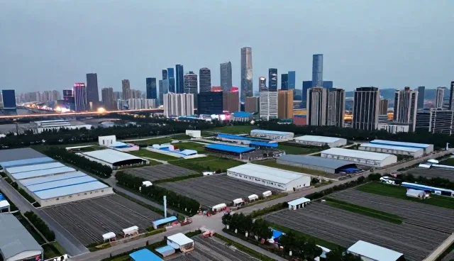 信息技术企业选型中的核心关注点与应对策略